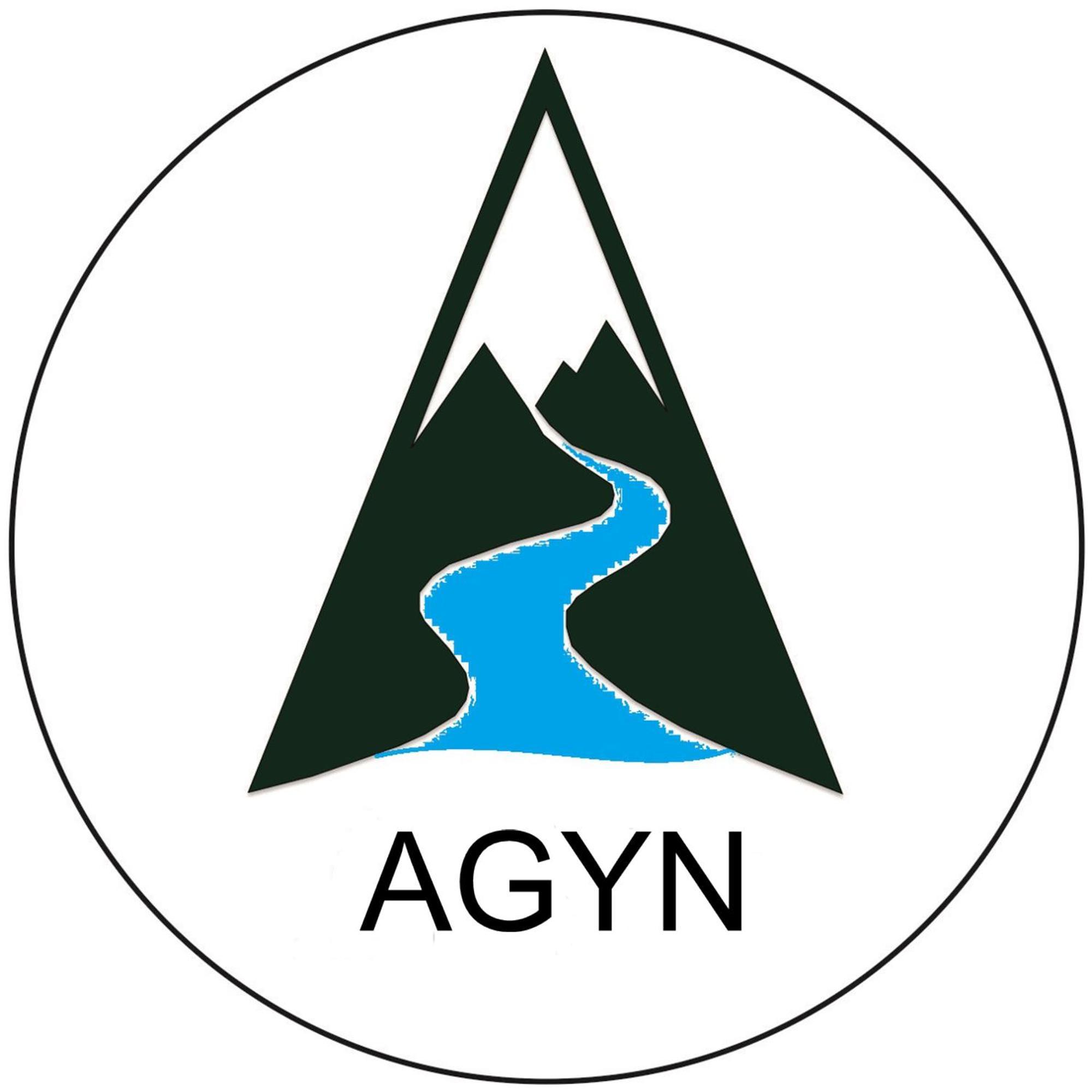 Agyn Guest House Karakol Bagian luar foto